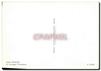 Primevères — Auvergne — Albert MONIER, n° A 10.855 — Rewers