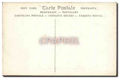 राजा अल्बर्ट के खुशी के स्वागत, ब्रुसेल्स में (23 दिसंबर 1909) - एनडी फोटो। — पीछे