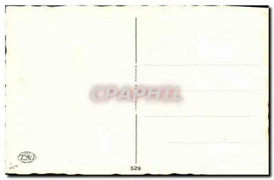 Kwiaty i gwoździk — Urodziny — Wydawnictwo Paryskie n°529 — Rewers