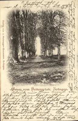 Heiternplatz — alameda de árvores desfolhadas — Verlag von A. Steinegger-Hemmann, Zofingen