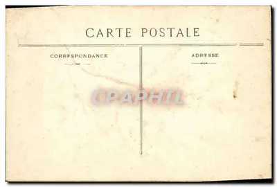 Morskie algie (naturalne) — próba botaniczna — bez wydawcy ani numeru — Rewers