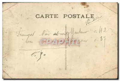 Jeune femme en fourrure — scène hivernale avec sapin — éditeur EXTRA, n° 748 — Verso