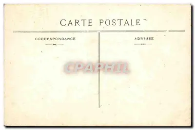 Morskie algie (naturalne) — próbka botaniczna — wydawca nieznany — Rewers