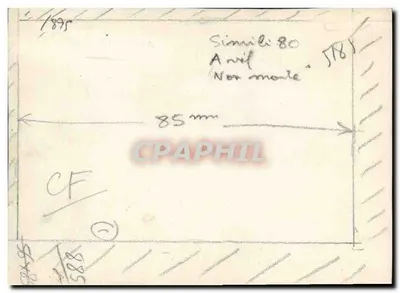 Kobieta obok starego samochodu — przed drewnianym domem — Rewers