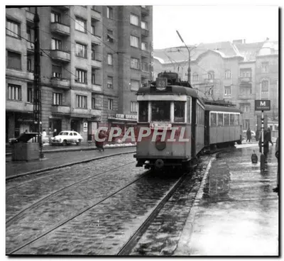 Tramway n°43 em Belgrado — rua de paralelepípedos molhada — n°195