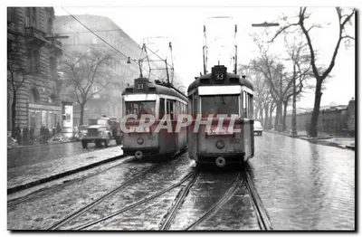 Dois trams n°33 em Budapeste — n° de série 195