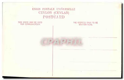 Jardines de Canela, Mezquita, Ceilán — editor desconocido, número de serie no visible — Reverso