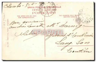 Elefante de Ceylon em Ação — Pild & Co. Ceylon, No. 223 — Verso