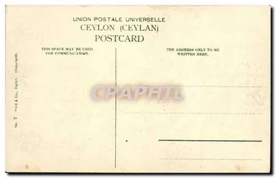 Campo de chá com colhedores em Ceylan — União Postal Universal, No. 7 — Verso