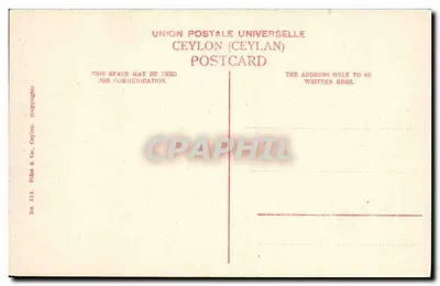 Village Women (Singhalese) — Ceylon — Publisher: Fildé & Co. n°311 — Back