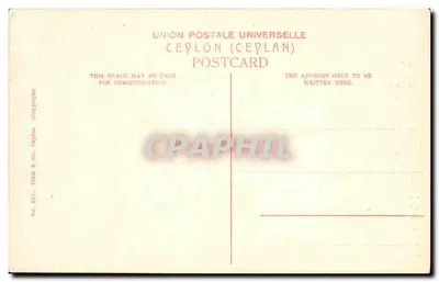 Mujer Tamoula — Ceylan — Field & Co., Ceylon, n° 2811 — Reverso