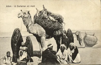 Aden - Uma Caravana em Repouso — Hotel de l'Europe, I. Benghiat Son, n° 814 p