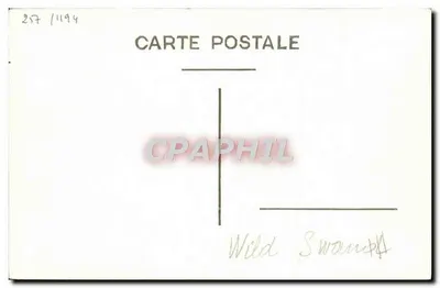 H.M.S. Wild Swan — D62 — Marius BAR fot. Toulon — Rewers