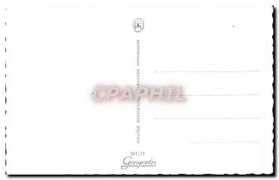 एक महिला लाल टॉप पहने — समुद्र तट — 201/17 — पीछे