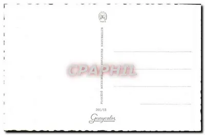 Kobieta w kostiumie z paskami — plaża tropikalna — Gunycolor Paris, nr 201/15 — Rewers