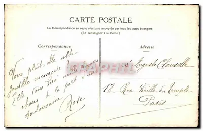 Coulouze — Annual Souvenir — Rose 88 — Back