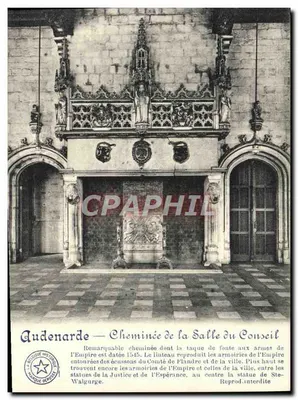Audenarde — Lareira da Sala do Conselho — A Biblioteca Histórica da Marca Devosse
