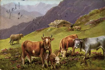अल्प्स में गायें — पर्वतीय दृश्य के साथ एक झोपड़ी — अज्ञात एडिटर, श्रृंखला 228