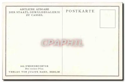 Paisagem com pavão branco — obra de Hondecoeter — edição da Galeria Estatal de Cassel, edição Julius Bard, Berlim — Verso