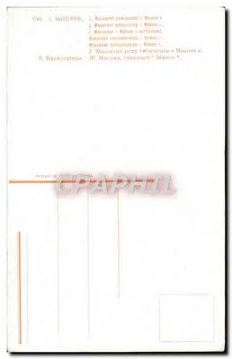Jules Massenet compondo «Manon» — ilustração — editor desconhecido, n° 1746 — Verso