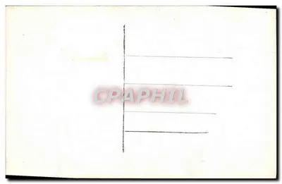 Arranjo de margaridinhas — edição S. F. — n° 711 — Verso
