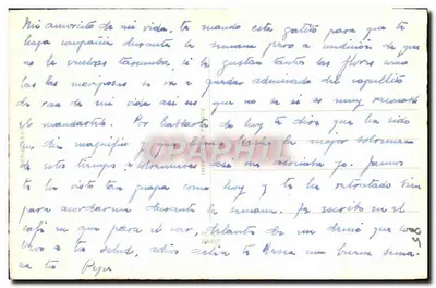 Gato olhando para uma borboleta — editor M. LO PARIS — Verso