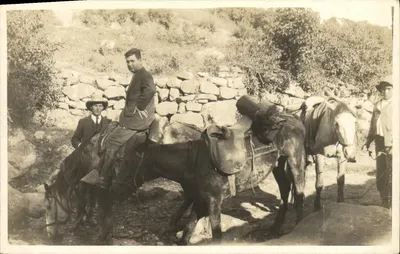 Gruppe von Männern auf Pferdern — ländliches Landschaftsbild — Nr. 12345
