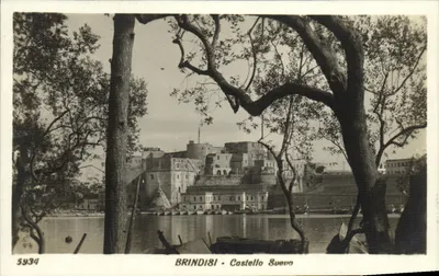 Brindisi - Castello Suevo — vista do castelo desde a margem da água, enquadrado por árvores