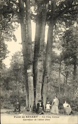 Floresta de SÉNART — Os Cinco Carvalhos — Carréfourn do Hôtel Dieu