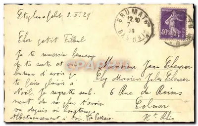 Uma linda família de corujas perto de Plasbourg — Carta postal — Verso