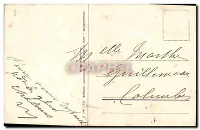 Flores de viorne branco — edição não identificada — selo 5c verde — Verso