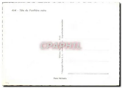Cabeça de pantera negra — 404 — Edições L. Rivière, Paris — Verso