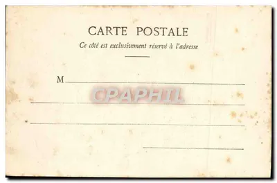 CANNES - Pins de la Bocca — vue des pins maritimes caractéristiques, éditeur Édouard Gillier, n° 433 — Rewers