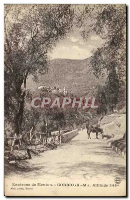 Arredores de Menton - GORBIO (A.-M.), Altitude 344m — Abel, foto, Menton