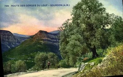 Rodovia das Gargantas do Lobo - Gourdon (A.M.) — vista panorâmica com oliveira e trilha — editor A.M. n°799