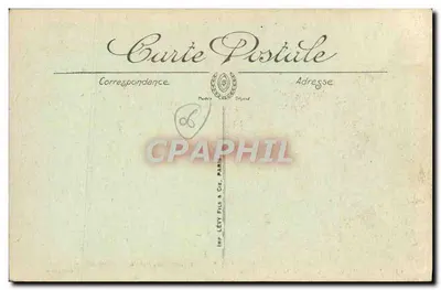 Juan-les-Pins — Duży sosnowy drzewo — wydawnictwo Mme Niel, Papeterie, 32 Rue de la République, Antibes — Rewers