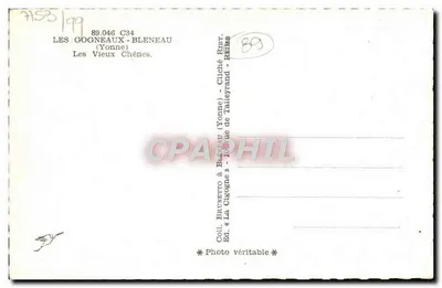 Les Gogneaux - Bleneau — Les Vieux Chênes — Cliché Brunetto & Bleneau, Cliché Rémy, Reims — Verso