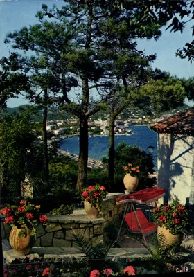 Jardim provençal com seus pinheiros e o mar — La Croix-Valmer — Éditions Rella