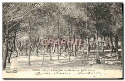 Giens - Um Sous Bois no Sénatorium Renée Sabran — Cliché Giraud, n°258