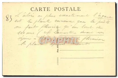 Hyères — Aloès em flor, boulevard d'Orient — editor H. Hue, n° 134 — Verso