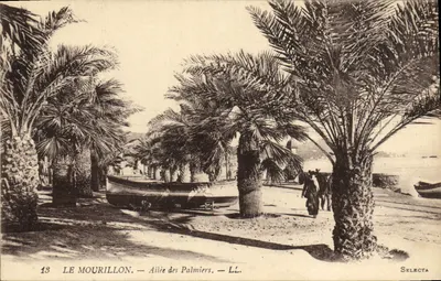 Le Mourillon — Allée des Palmiers — LL. — Selecta