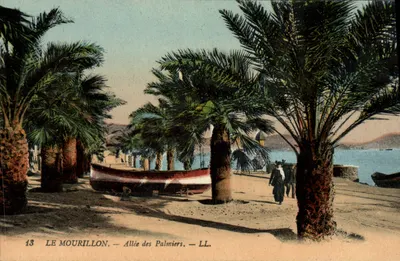 Le Mourillon — Avenida dos Palmeiros — LL.