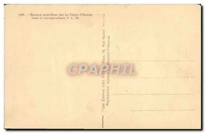 Wyspa Port-Cros — Falaise du Nord — Wydawca Yvon, nr 19 — Rewers