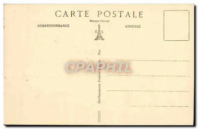 Saint-Raphaël (Var) — Studium Pinów Parasolowych — FL. n°188 — Rewers
