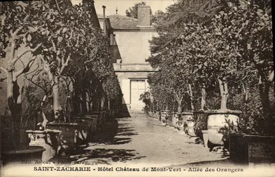 Saint-Zacharie - Hotel Château de Mont-Vert - Avenida dos Laranjeiras — Edit. Reboul - Foto Pardy