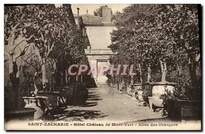 Saint-Zacharie - Hotel Castelo de Mont-Vert - Avenida dos Laranjeiros — Edit. Rebout - Foto Tardy