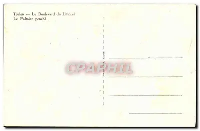Toulon — Le Palmier penché — éditeur Combina & Macon — Verso