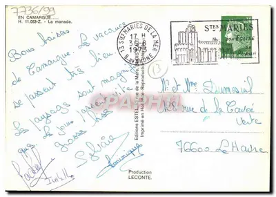 Caballos blancos — Camargue — Estol — Reverso