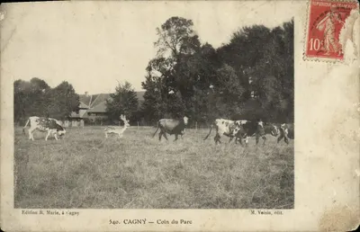 Bilhete postal antigo Cagny Coin du Parc Vaches