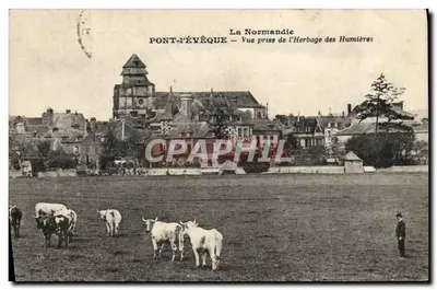 Bilhete postal antigo A Normandia Pont L'Eveque vista tirada do pasto das Hunieres Vaches
